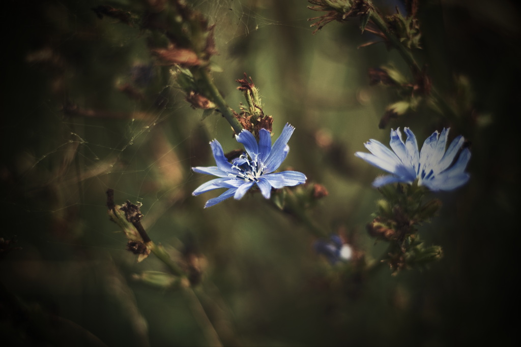 Fotorunde im Zeichen einer Karte