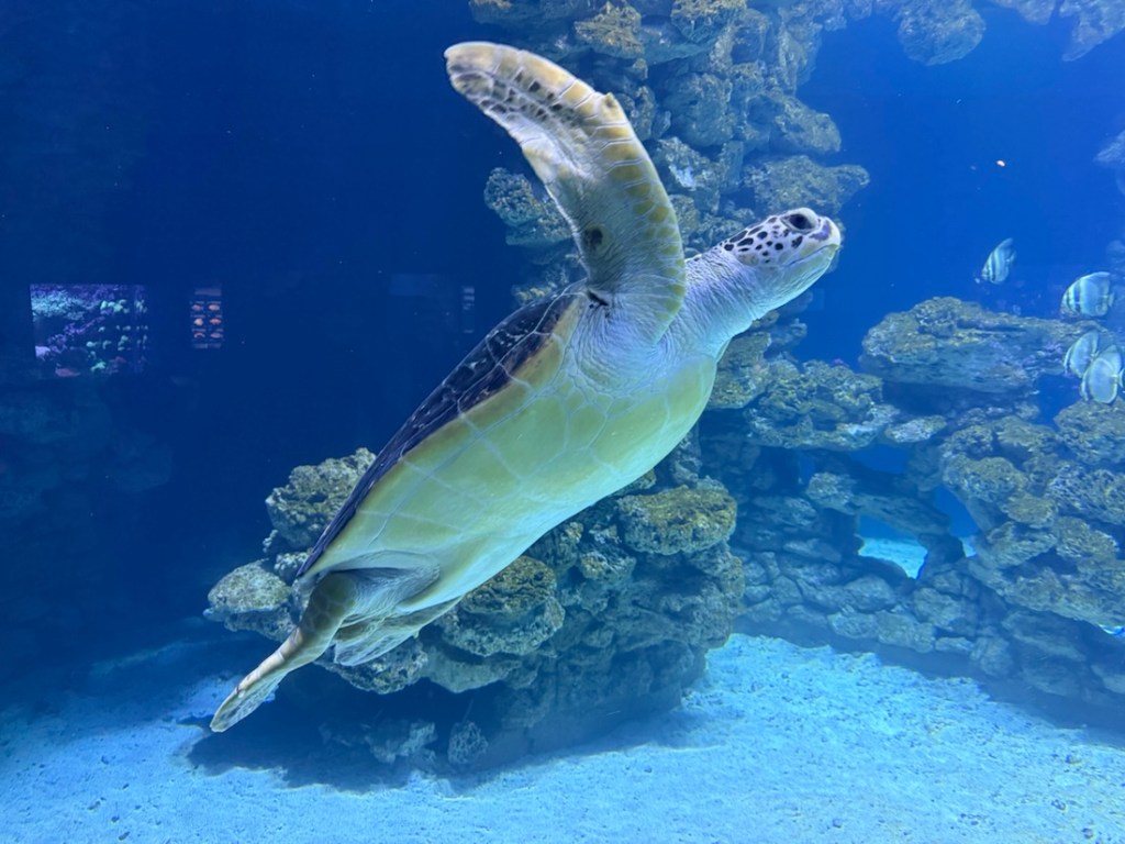 Kurzurlaub in Stralsund